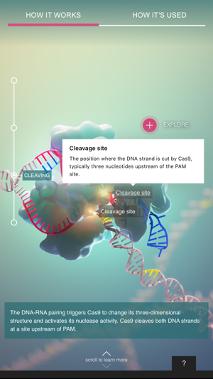 CRISPR-Cas9(圖3)-速報App