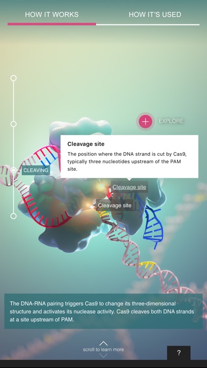 CRISPR-Cas9