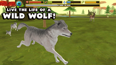 How to cancel & delete Wildlife Simulator: Wolf from iphone & ipad 1