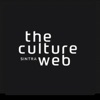 The Culture Web