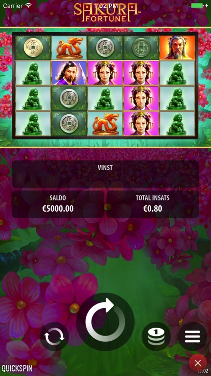 SverigeCasino - Casino Online screenshot-4