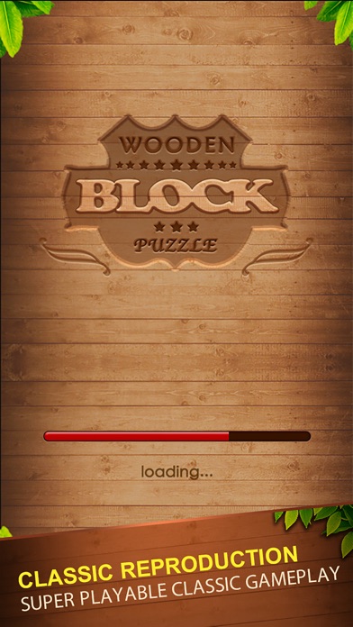Wooden Puzzle Block screenshot 2