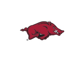 Arkansas Razorbacks PLUS Stickers