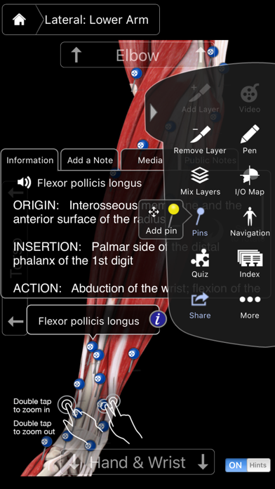 Muscle System Pro III - iPhone Edition Screenshot 4