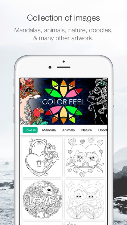 ColorFeel Coloring Book