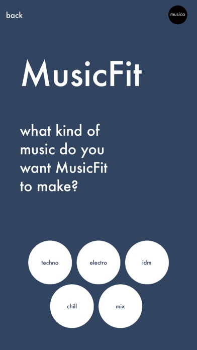 MusicFit screenshot 2