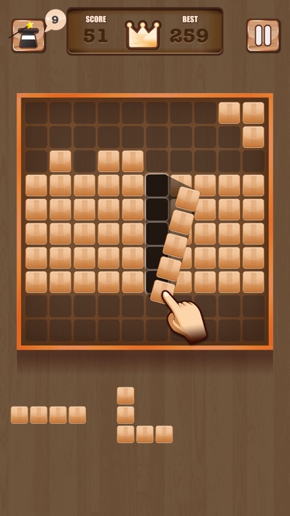 Wooden 100 Block - Hexa Puzzle