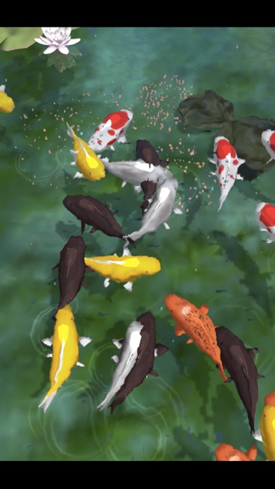 Carp bait -鯉に餌- screenshot 2