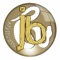Die neue Smartphone-App von jbpythons