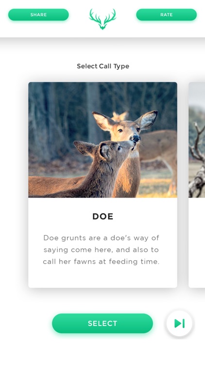 Deer Calls