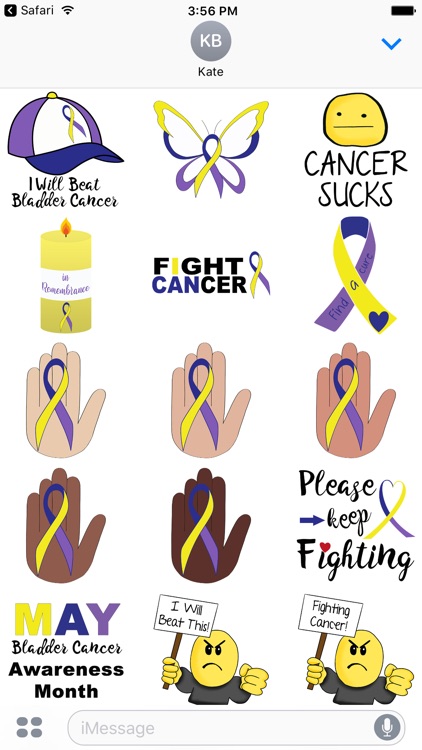 Bladder Cancer Stickers