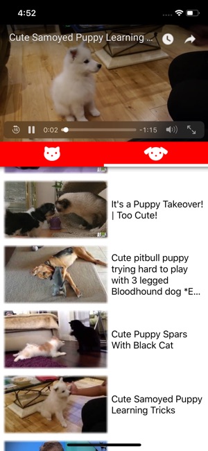 CatDogTube(圖2)-速報App