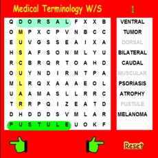 Activities of Medical Terminology Wordsearch