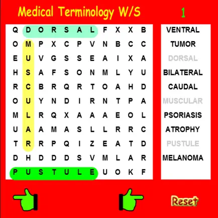 Medical Terminology Wordsearch Читы