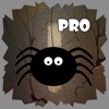 Spider Cave Pro