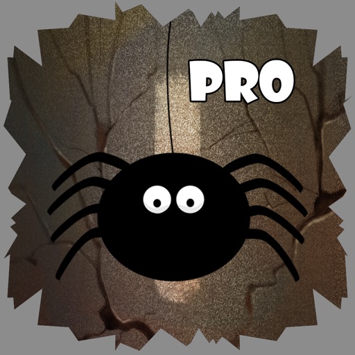 Spider Cave Pro icon