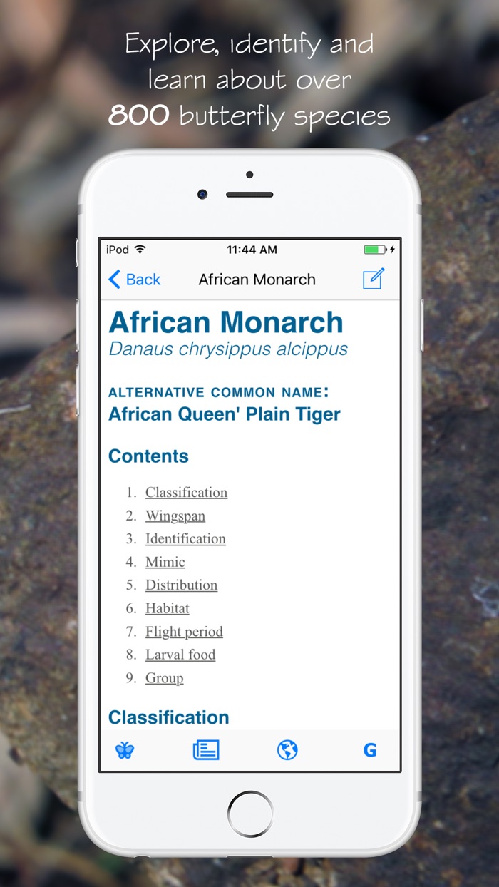 Woodhall’s Butterflies RSA