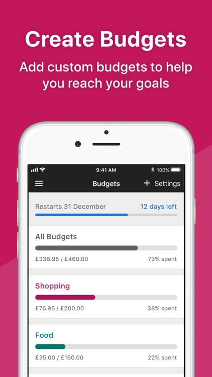 Money Dashboard Budget Planner