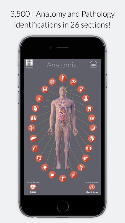 Anatomist – Anatomy Quiz App for Medical Students