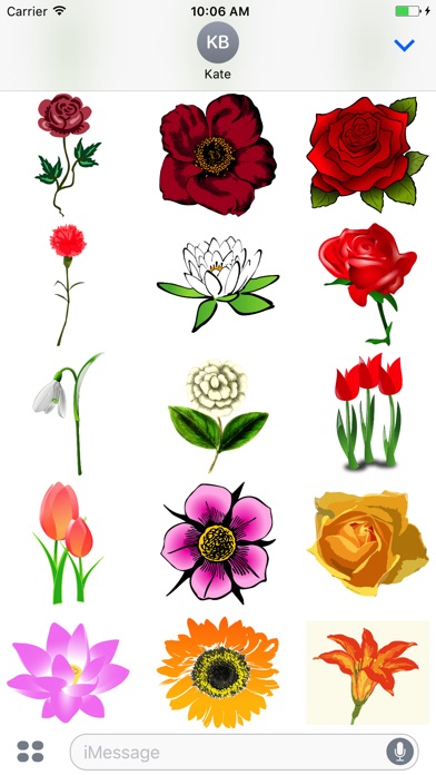 Radiant Flower Stickers screenshot 3