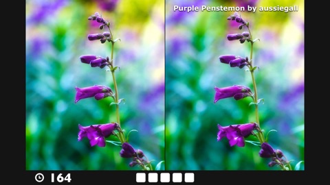 Screenshot #10 for Find the Difference!
