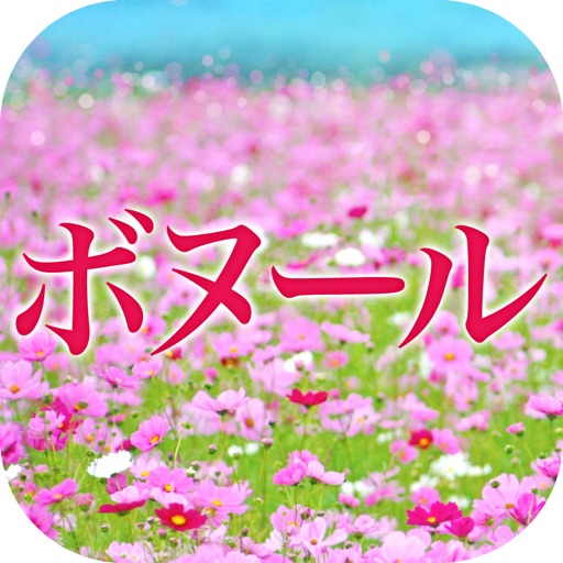 美容カイロ　ボヌール　公式アプリ icon