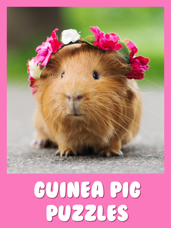 Screenshot #4 pour Guinea Pig Kids Jigsaw Puzzle