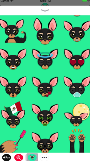 Black Tan Chihuahua(圖3)-速報App