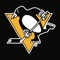 Pittsburgh Penguins