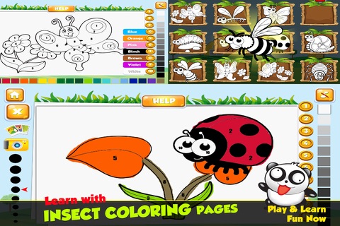 color name for little learners screenshot 2