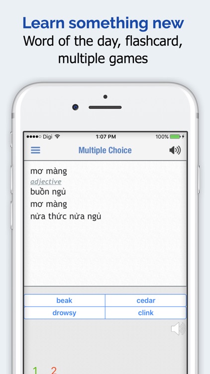 Vietnamese Dictionary + screenshot-4