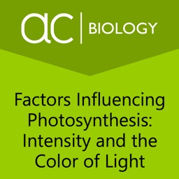 Factors Infl. Photosynthesis 1