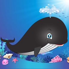 Activities of Whale - Deep Sea