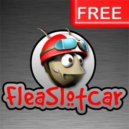 Flea Slot Car FREE