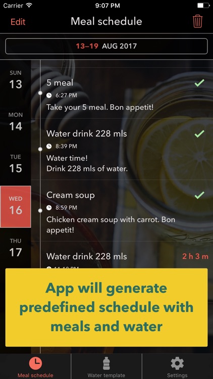 MealWaterLab  - meal water drink reminder