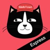 MT Express