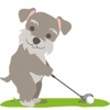 Cute Schnauzer Dog Love Golf