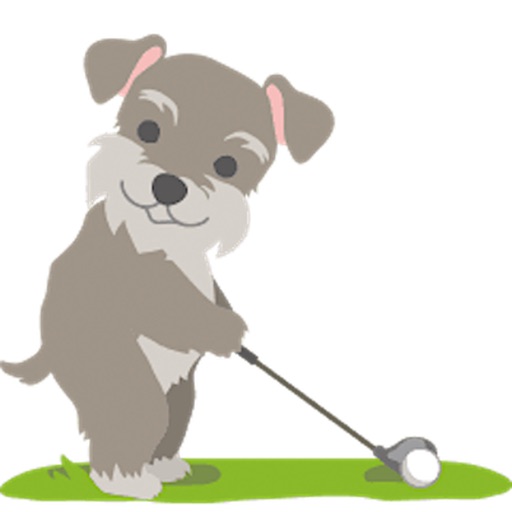 Cute Schnauzer Dog Love Golf