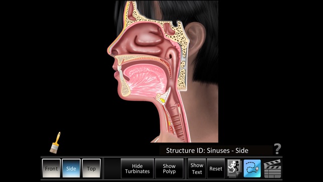 Sinus ID(圖4)-速報App