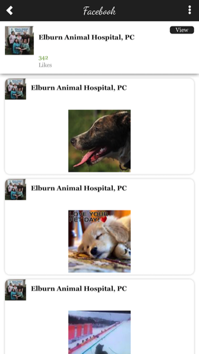 Elburn Animal Hospital screenshot 2
