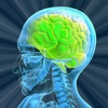 Test Brain Age - New IQ Test