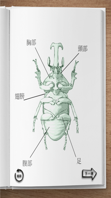 The Insect AR screenshot 3