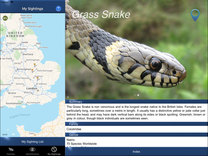 Reptile Id - UK Field Guide