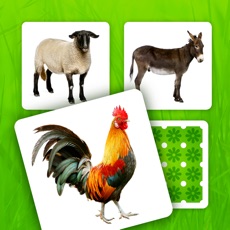 Activities of Farm Pairs - Match Animals