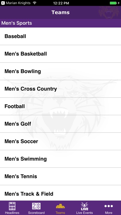 Bethel University Athletics screenshot-3