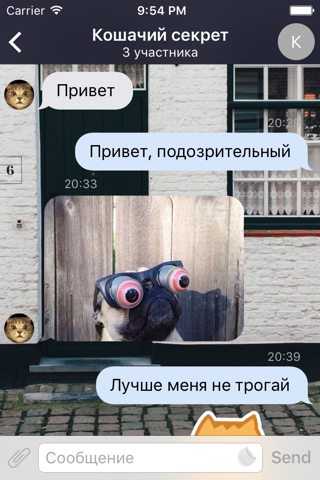 Blabber для VK screenshot 2