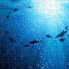 Discovery Under the Sea - Jigsaw Puzzles HD