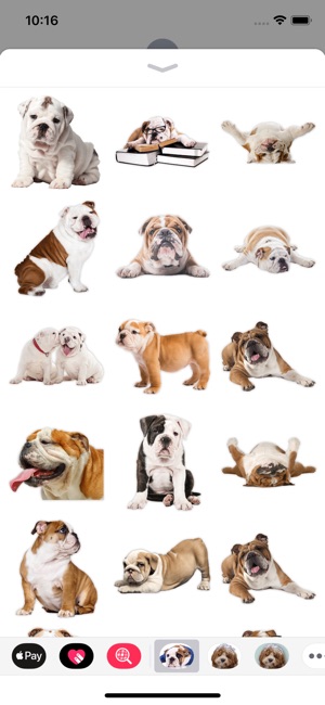 English Bulldog Stickers(圖2)-速報App