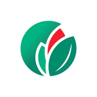 Germicopa pour PC