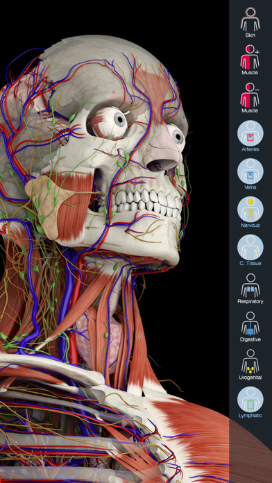 Essential Anatomy 2 Screenshot 1